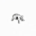 Charm Tortuga